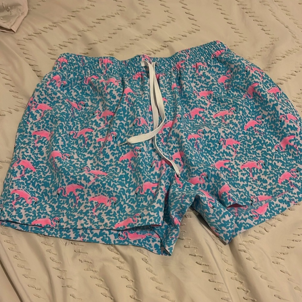 Men’s Chubbies Swim Shorts